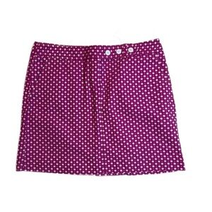 ⭐️J. Crew Skirt